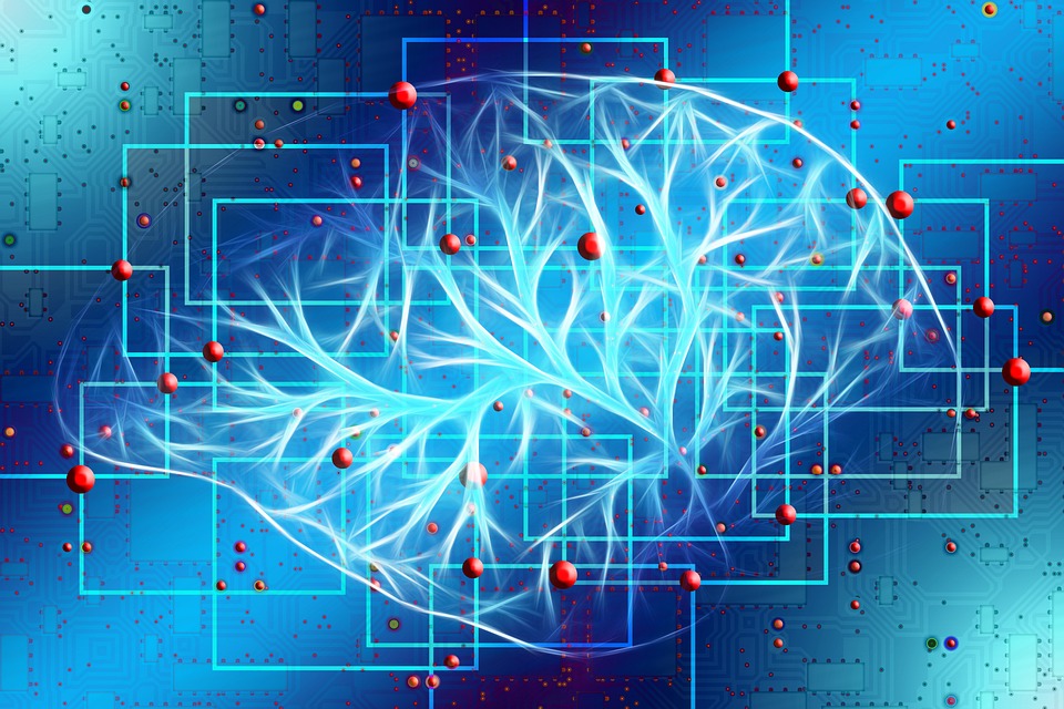 Computer science and information technology programs and careers